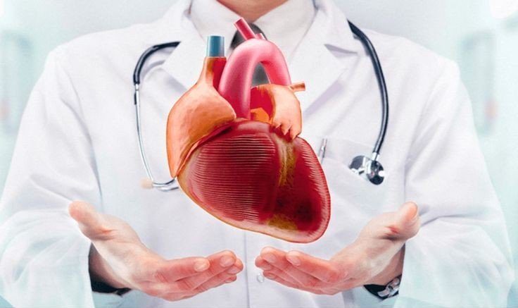 best heart doctor in india
