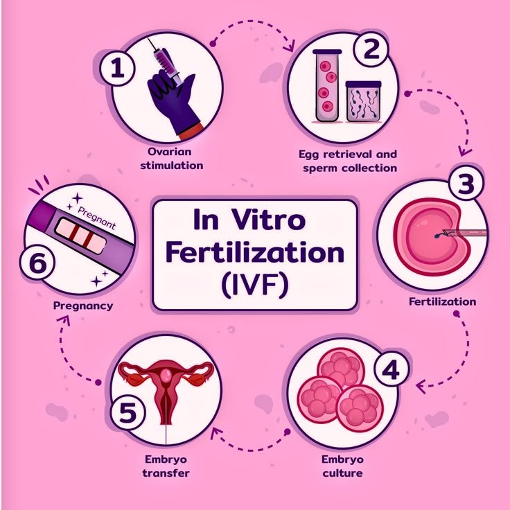 Fertility Clinic Near Me